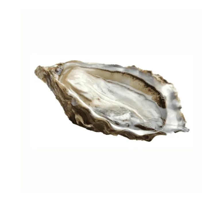 Устрицы GIGA Gillardeau №0